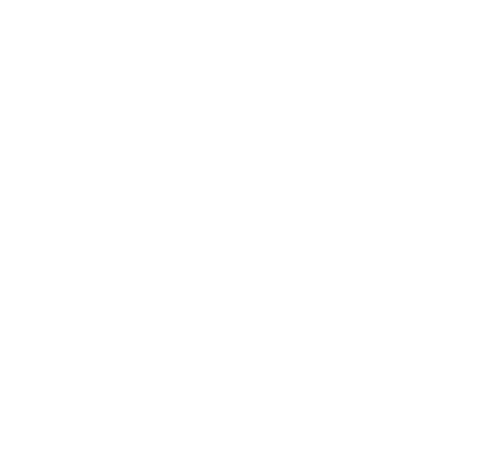 INTERNATIONAL ARMS 
